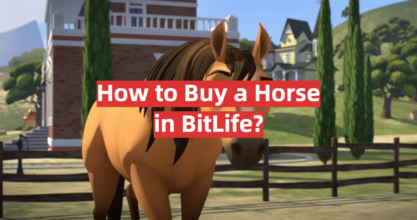 How to Buy a Horse in BitLife?