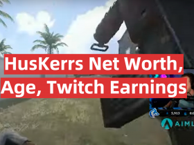 HusKerrs Net Worth, Age, Twitch Earnings